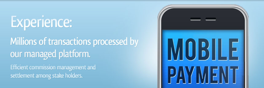 Experience: Millions of transactions processed by our managed platform. Commission management and  settlement among stake holders.